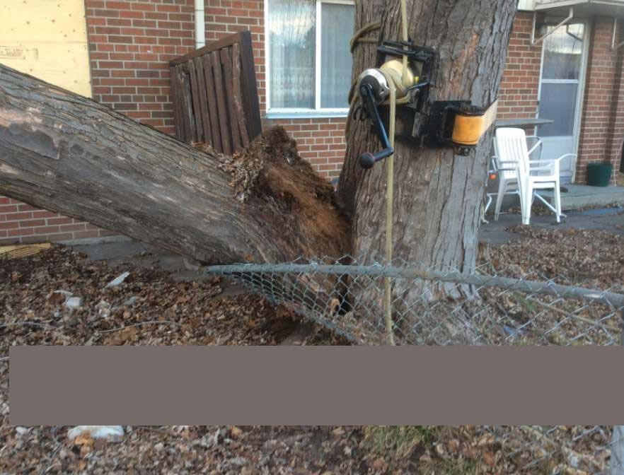 Rigging device to lift and lower failed tree from building