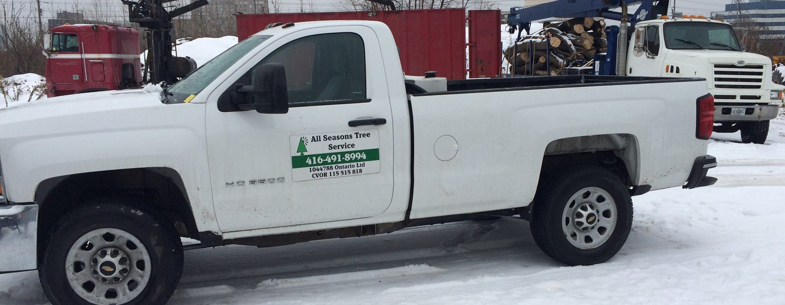 Toronto Tree Removal